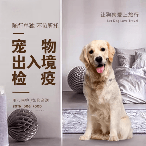渝北区宠物托运到哥伦比亚猫狗宠物入境规定和