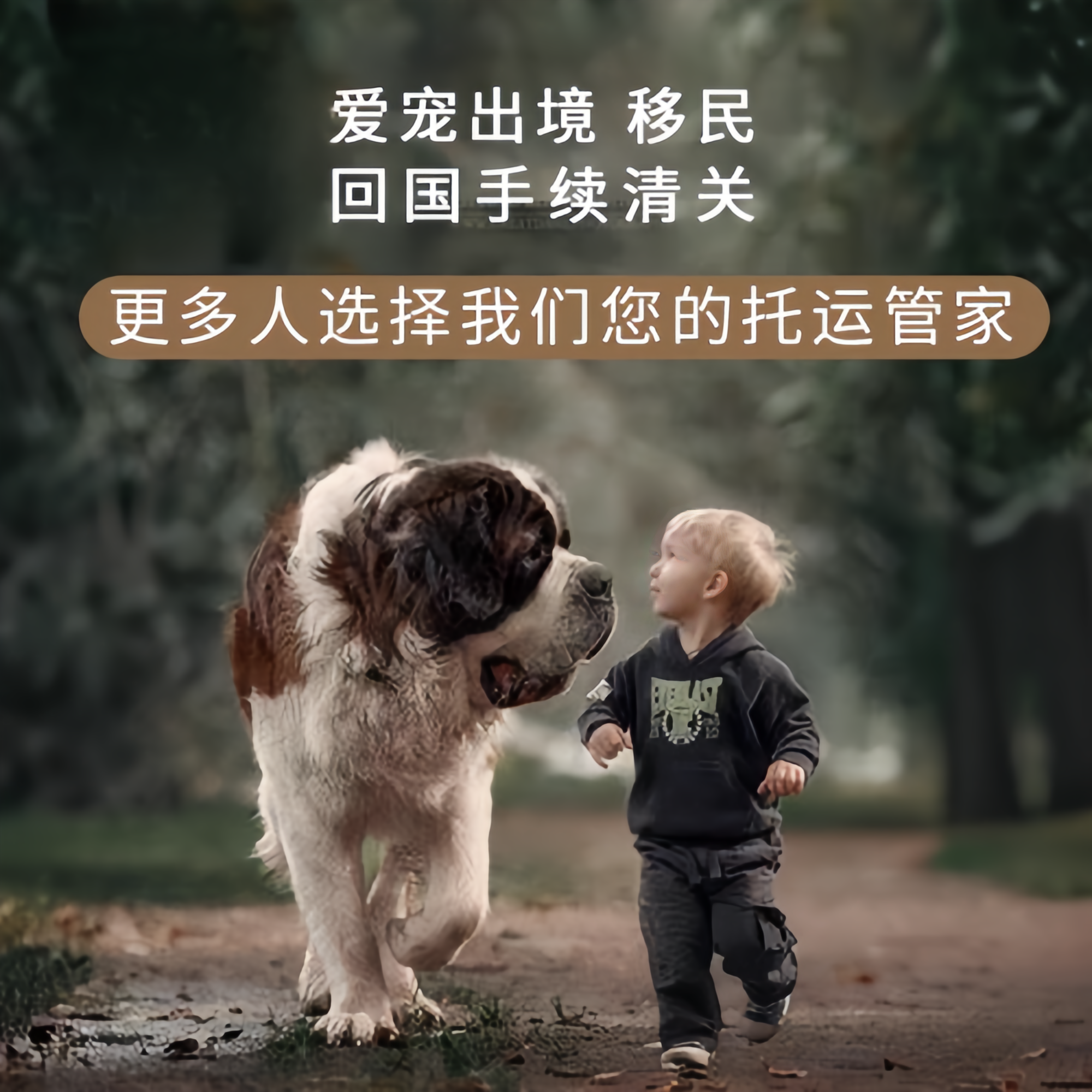 满财渝北区宠物全球达宠物托运在遵守入境目的地政策的条件