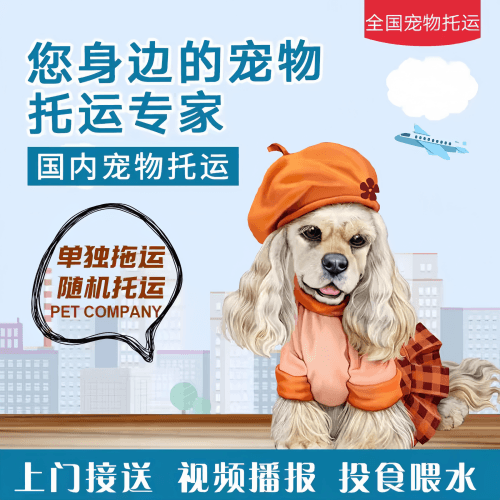满财渝北区宠物全球达宠物托运作为专业的宠物运输代理机构